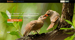 Desktop Screenshot of betterphoto.com